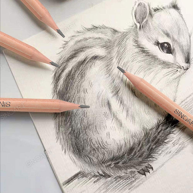 Sketch Pencil Professional Drawing Sketch Pencils Drawing & Sketching